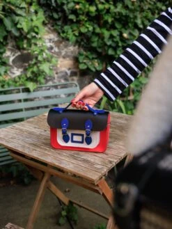 The Mini - Abstract -Cambridge Satchel IMG 7581