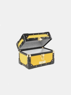 The Mini Trunk - Yellow -Cambridge Satchel the mini trunk yellow 322118 244929